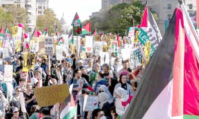 Palestine Solidarity Movement in the US